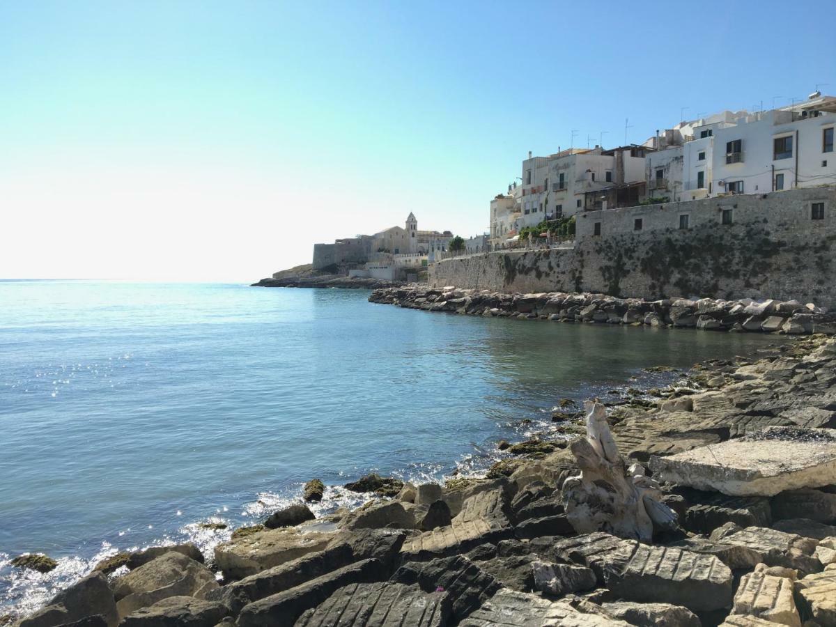 La Casa Nel Borgo Apartment Vieste Bagian luar foto